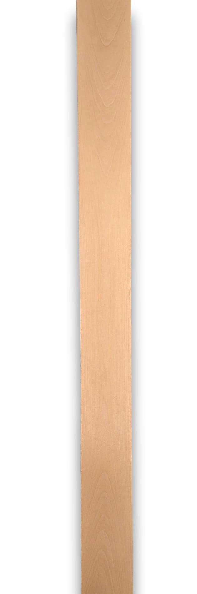Placage de hêtre | 18 feuilles | 200x14 cm