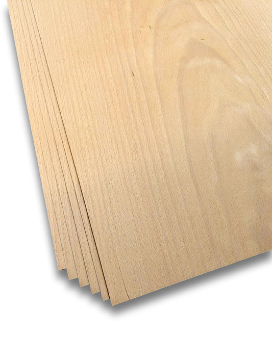 Placage de hêtre | 32 feuilles | 245x27 cm