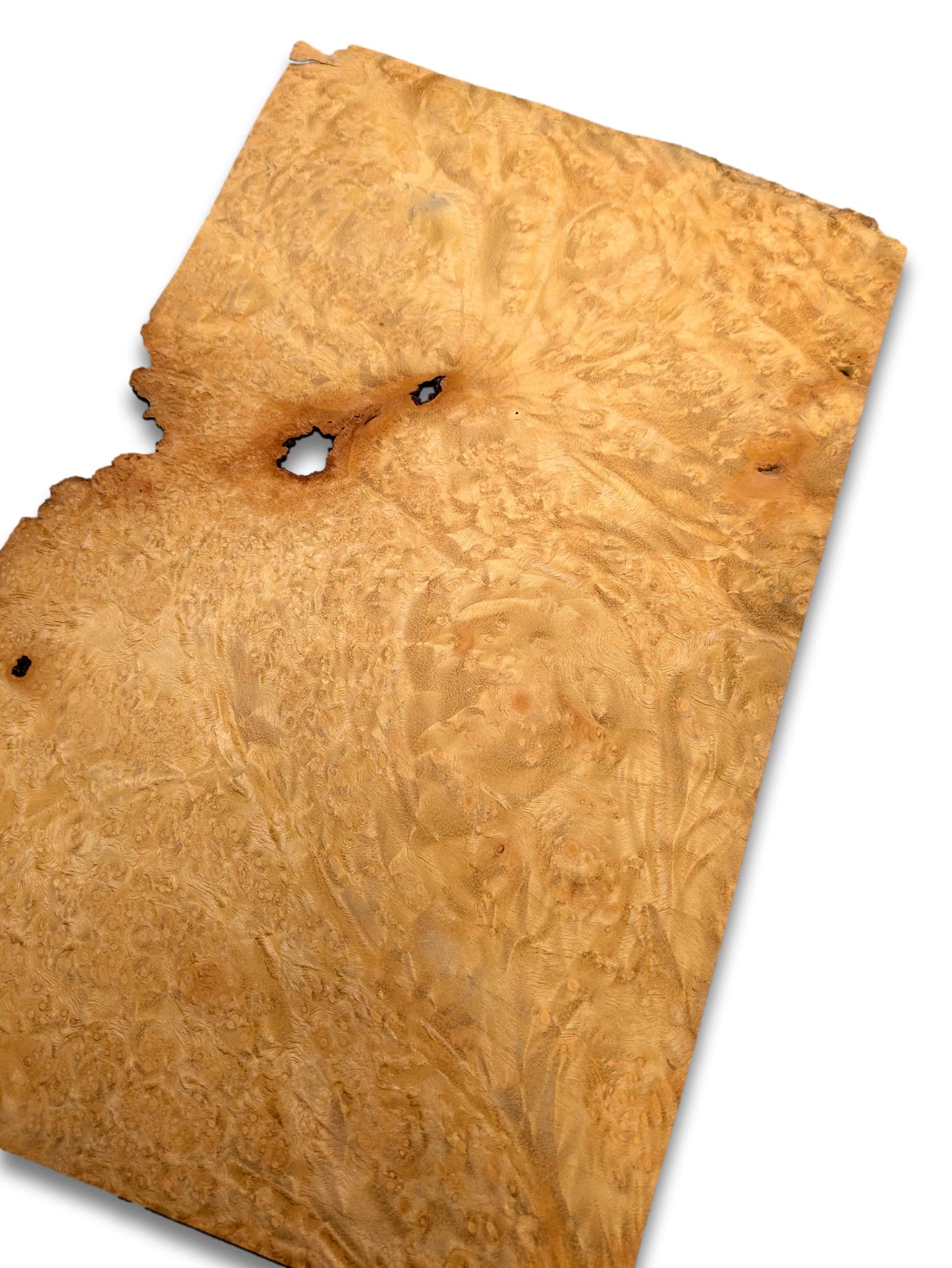 Placage loupe de Madrona | 31 x 20 cm