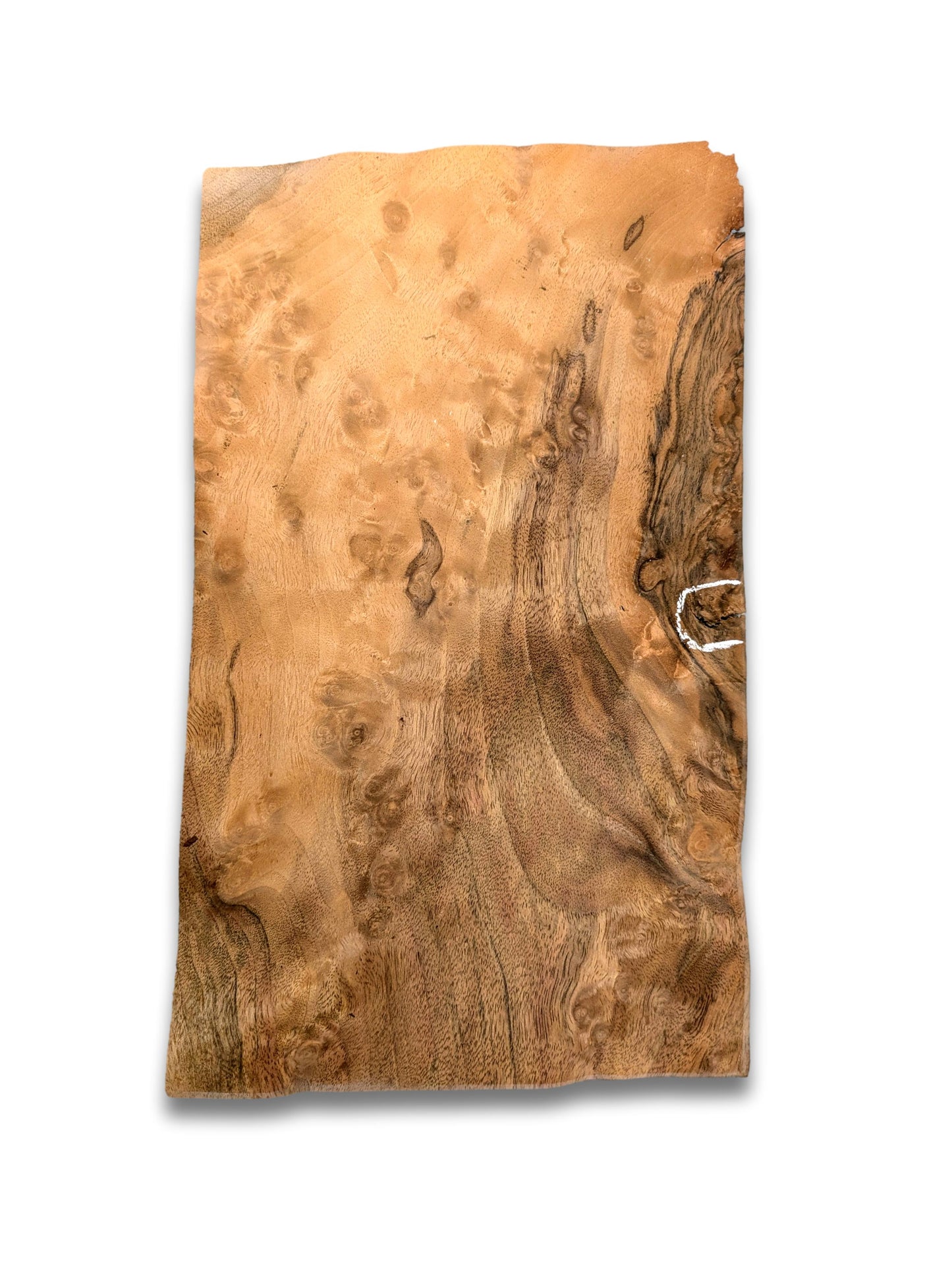 Placage de ronce de noyer | 30 feuilles | 32x18 cm