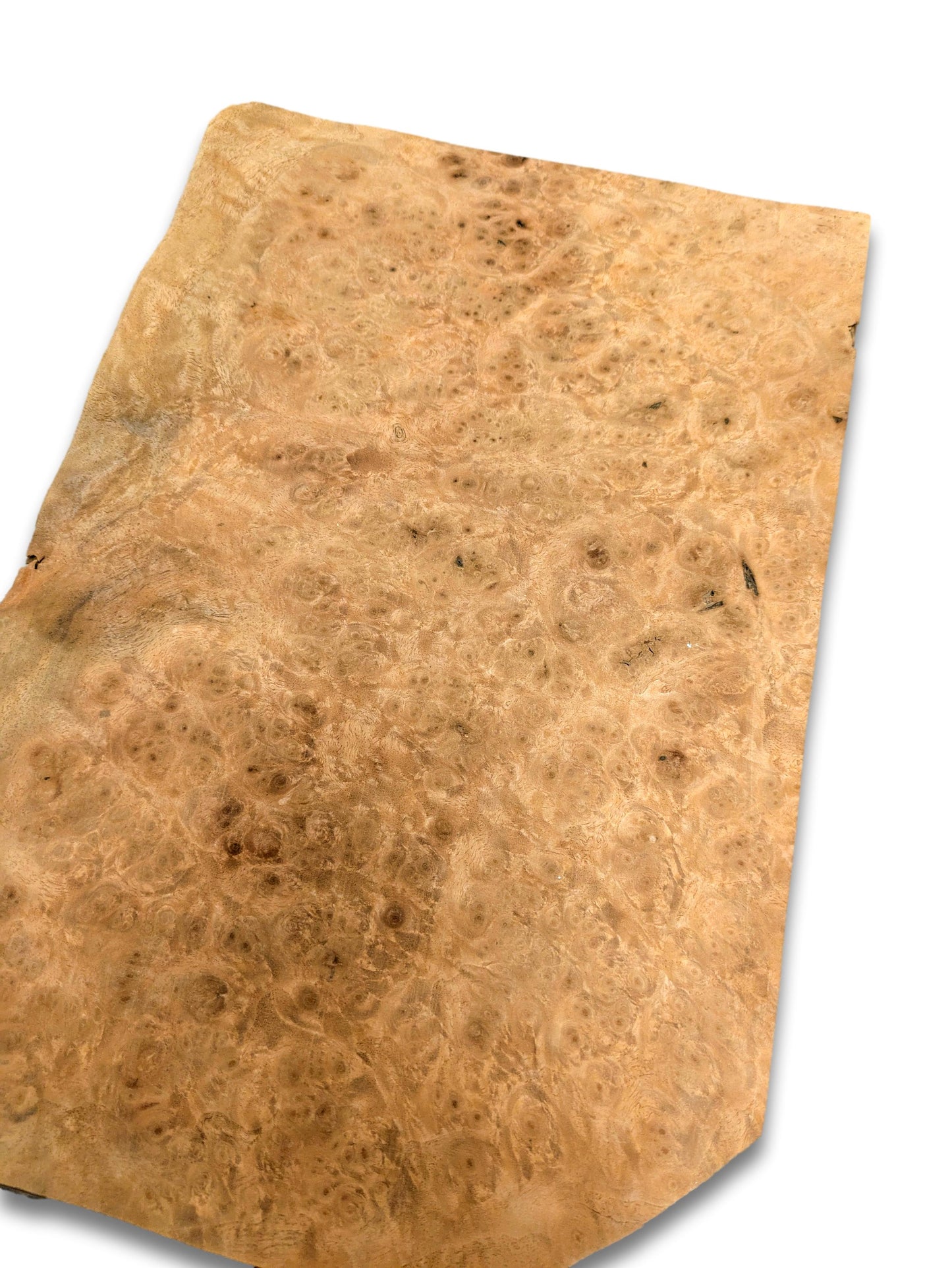 Placage ronce de Noyer | 35x22 cm