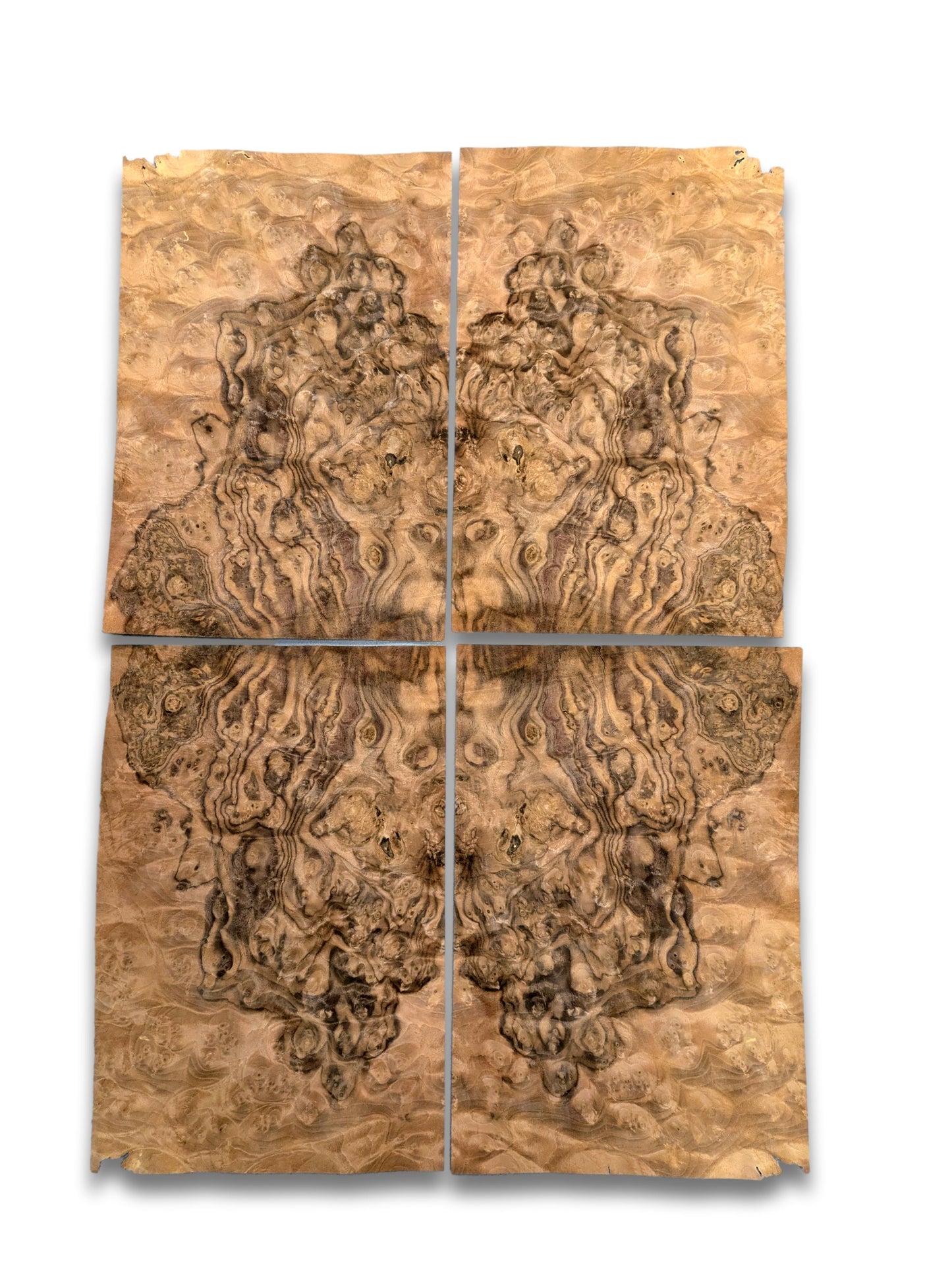 Placage ronce de Noyer | 4 feuilles | 35x24 cm