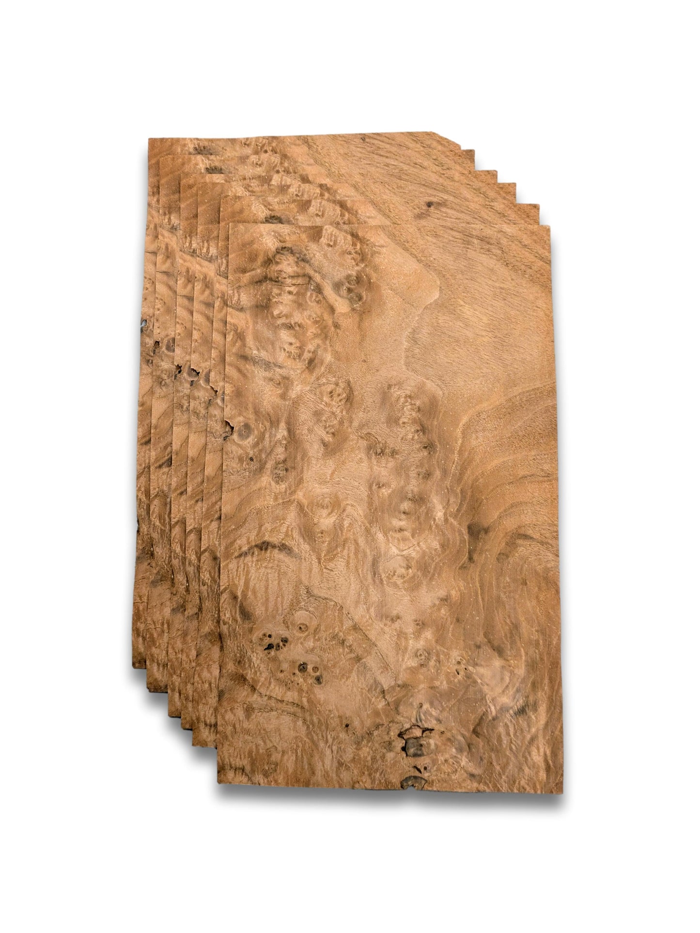 Placage de ronce de noyer | 6 feuilles | 36 x 21 cm