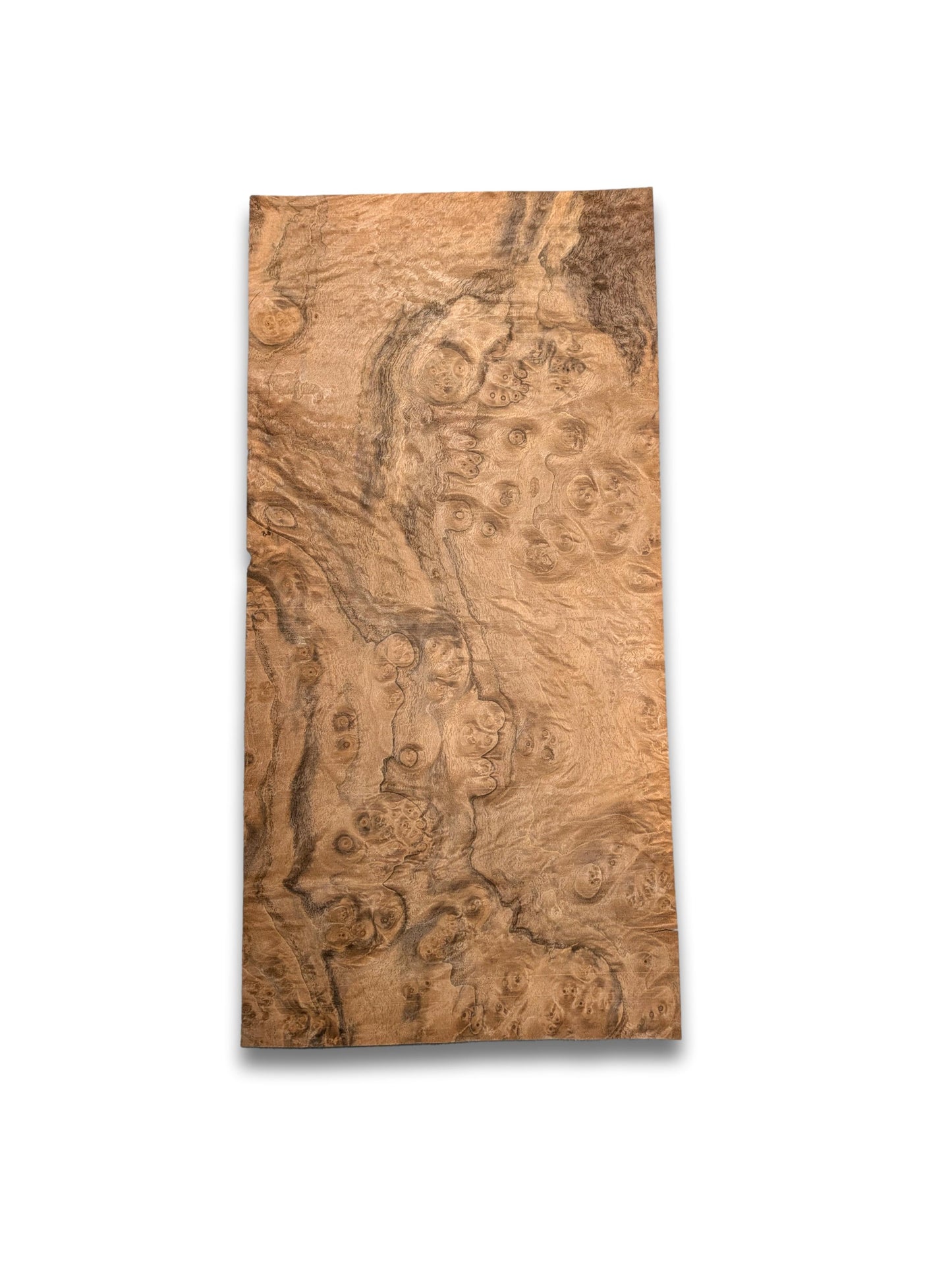 Placage de ronce de noyer | 49 x 23 cm