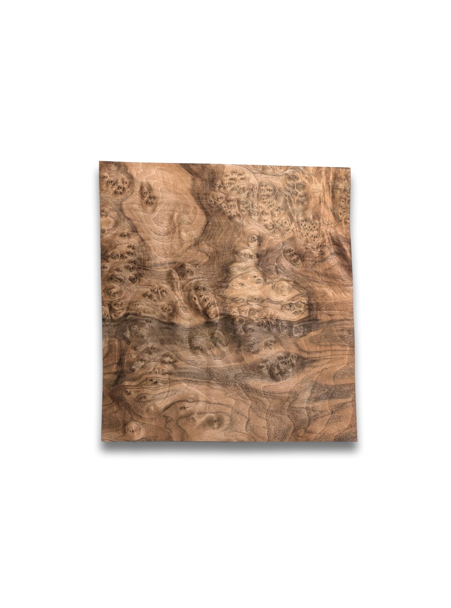 Placage de ronce de noyer | 29 x 30 cm