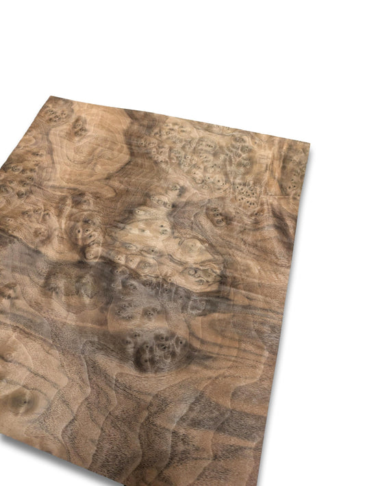 Placage de ronce de noyer | 29 x 30 cm