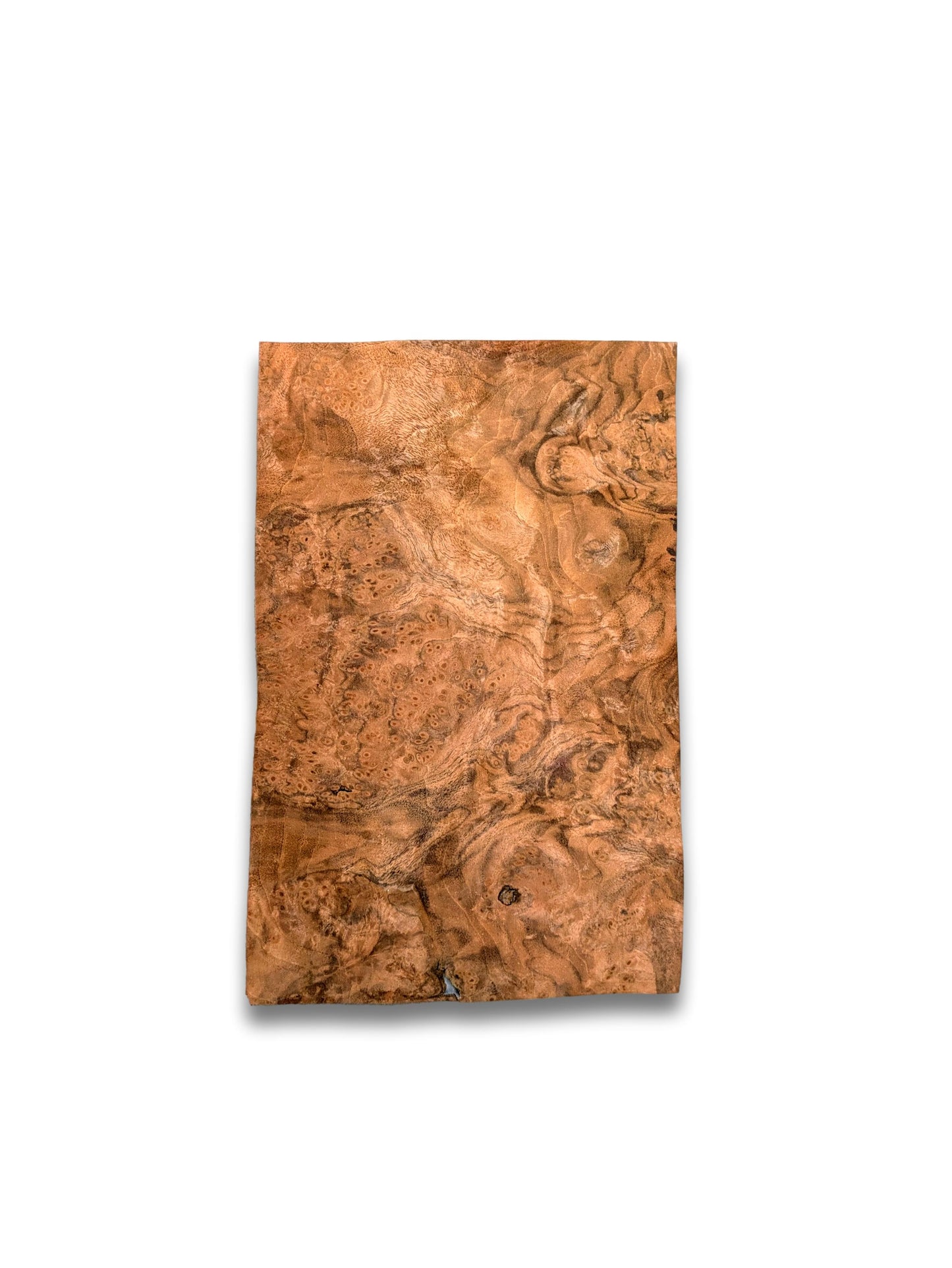 Placage ronce de Noyer | 30x19 cm