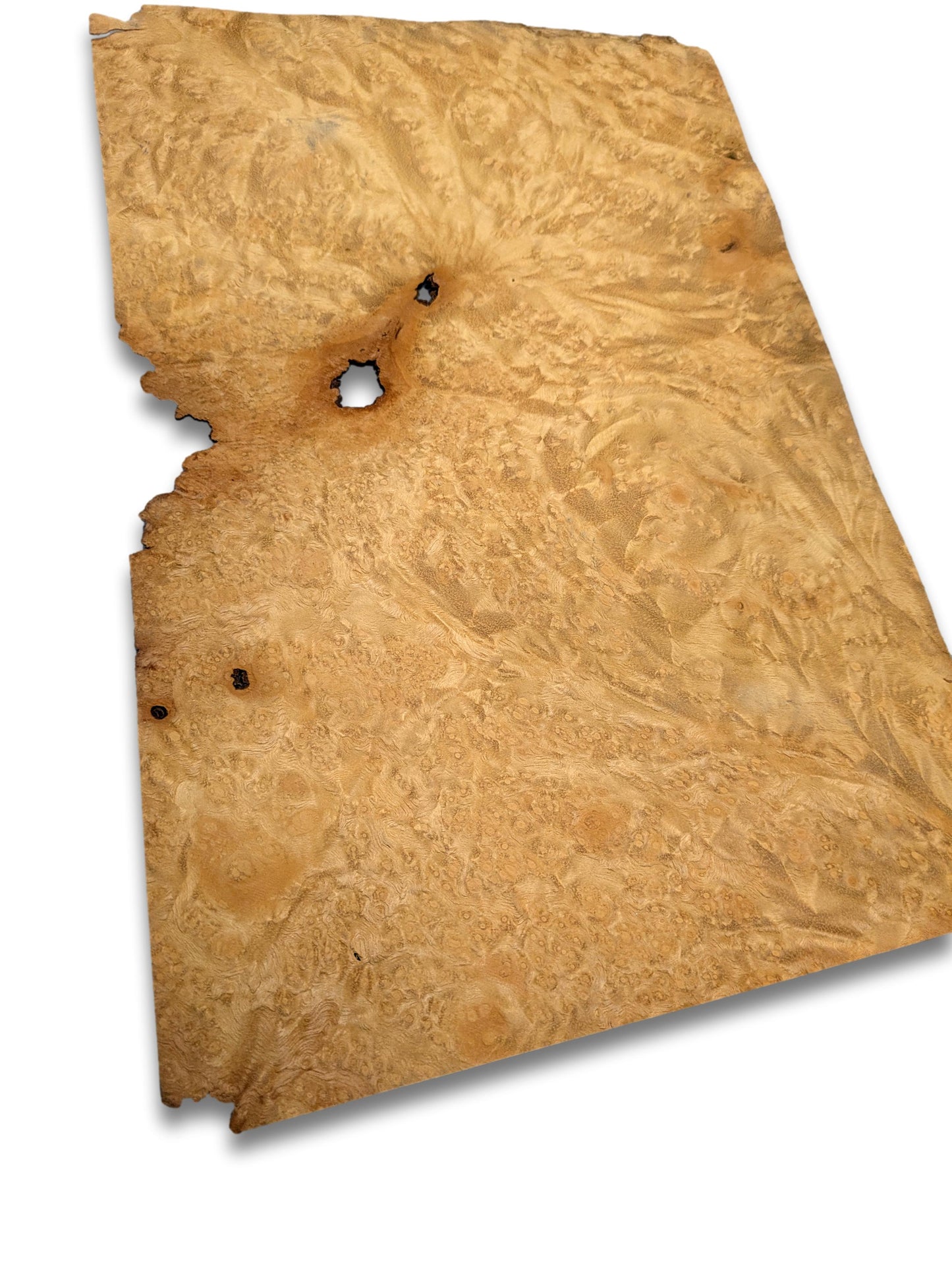 Placage loupe de Madrona | 31 x 20 cm