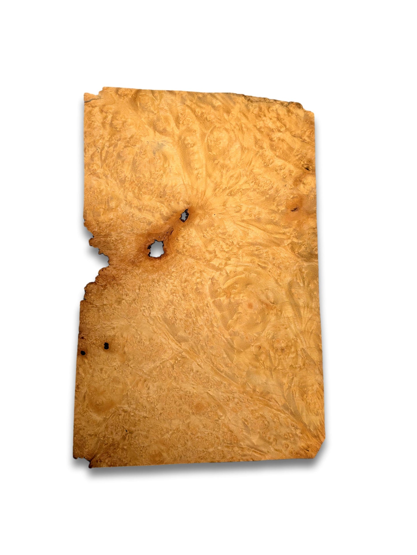 Placage loupe de Madrona | 31 x 20 cm