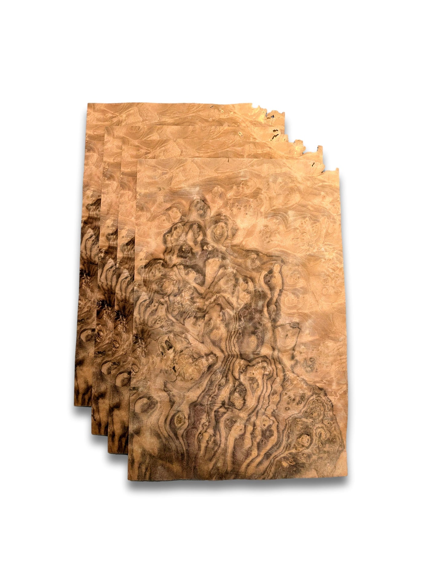 Placage ronce de Noyer | 4 feuilles | 35x24 cm