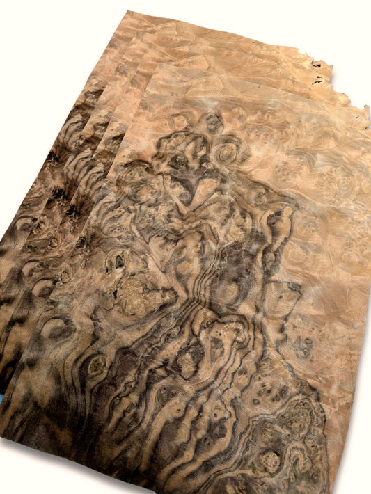 Placage ronce de Noyer | 4 feuilles | 35x24 cm
