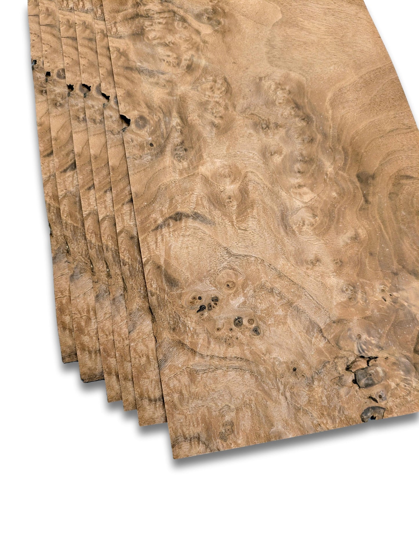 Placage de ronce de noyer | 6 feuilles | 36 x 21 cm