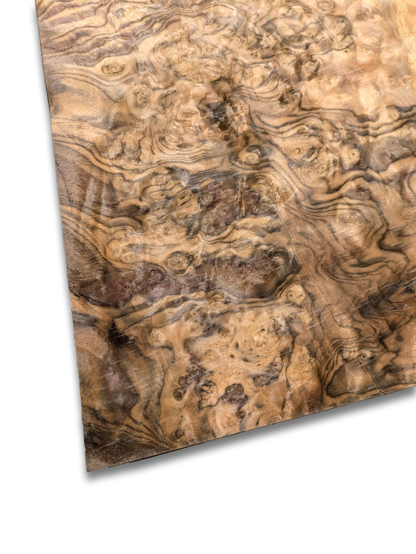 Placage de ronce de noyer | 45 x 33 cm