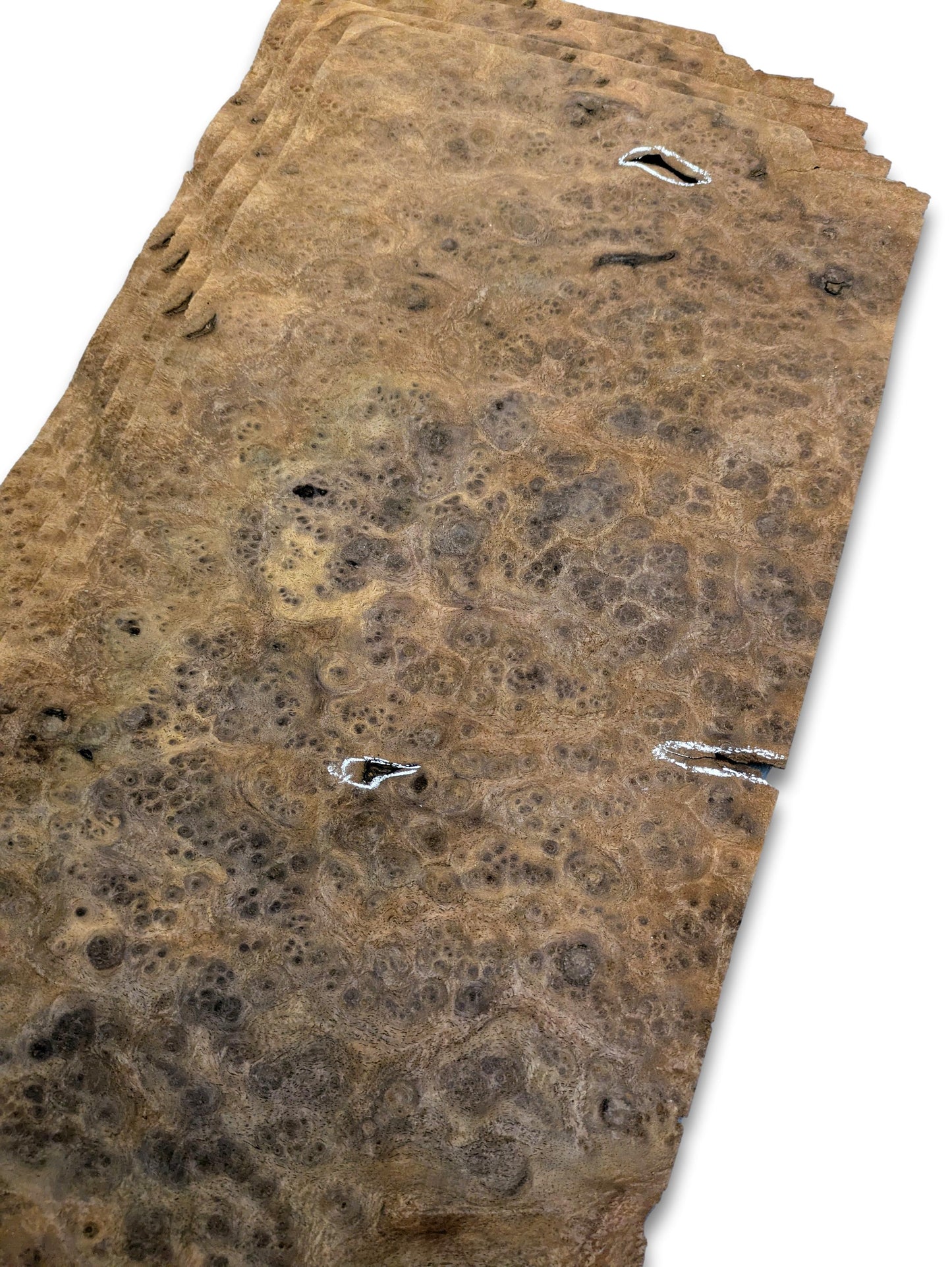 Placage de ronce de noyer | 4 feuilles | 46 x 24 cm