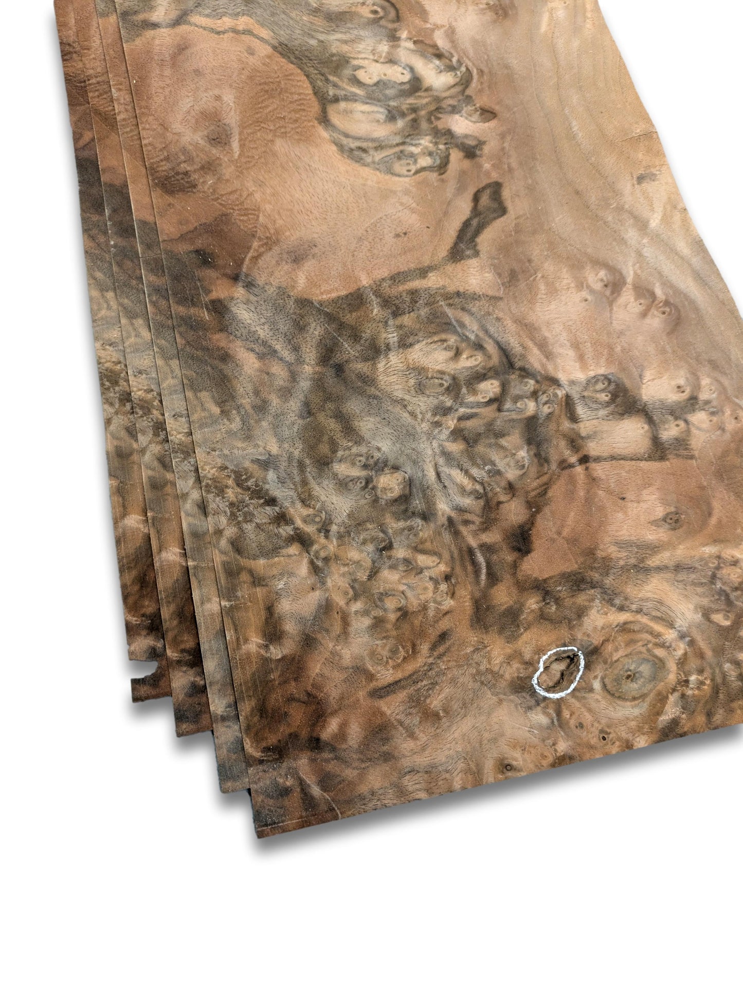 Placage de ronce de noyer | 4 feuilles | 47 x 23 cm