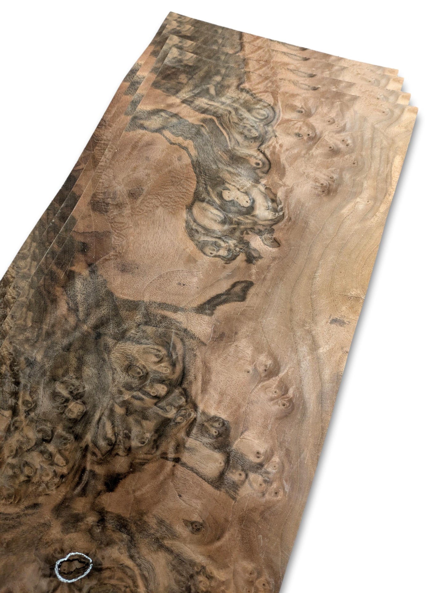 Placage de ronce de noyer | 4 feuilles | 47 x 23 cm