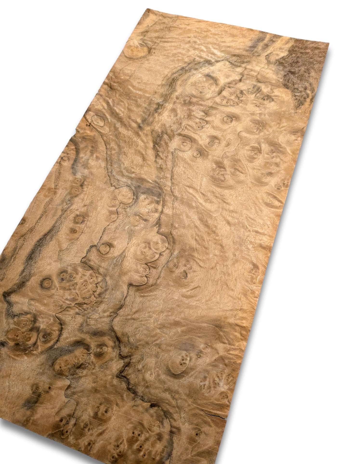 Placage de ronce de noyer | 49 x 23 cm